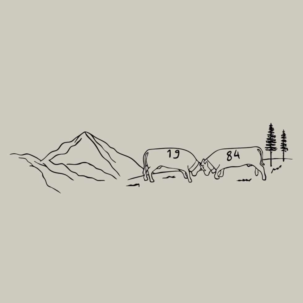 Illustration au trait : la Dent-Blanche, deux vaches d’Hérens qui s’affrontent et des mélèzes